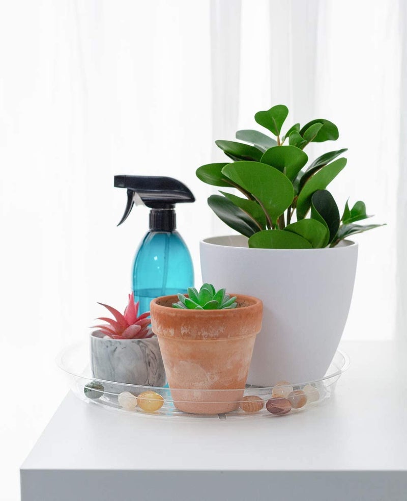 TRUEDAYS 10 Inch 5 Pack Clear Plant Saucers Flower Pot Tray Excellent for Indoor & Outdoor Plants - Image 4